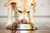 Pet food packaging papers