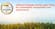 Ahlstrom-Munksjö awarded with third consecutive EcoVadis Gold rating