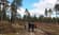 Collaboration on responsible wood sourcing brings many advantages