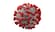Selection of DBS card for anti-SARS-CoV-2 antibody detection