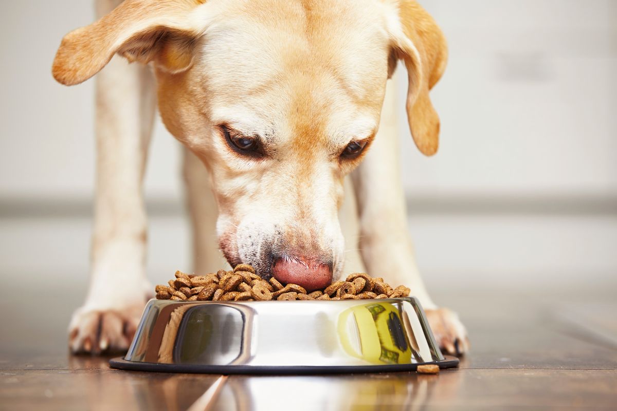 Pet food packaging papers
