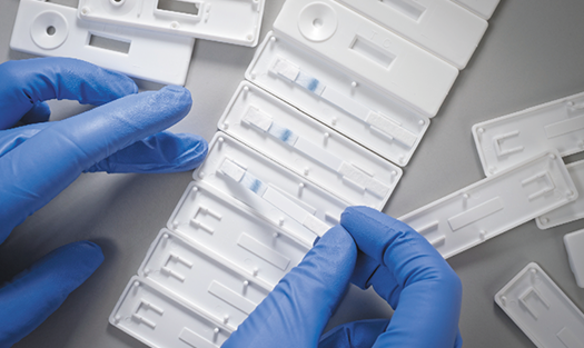 Lateral flow sample pads