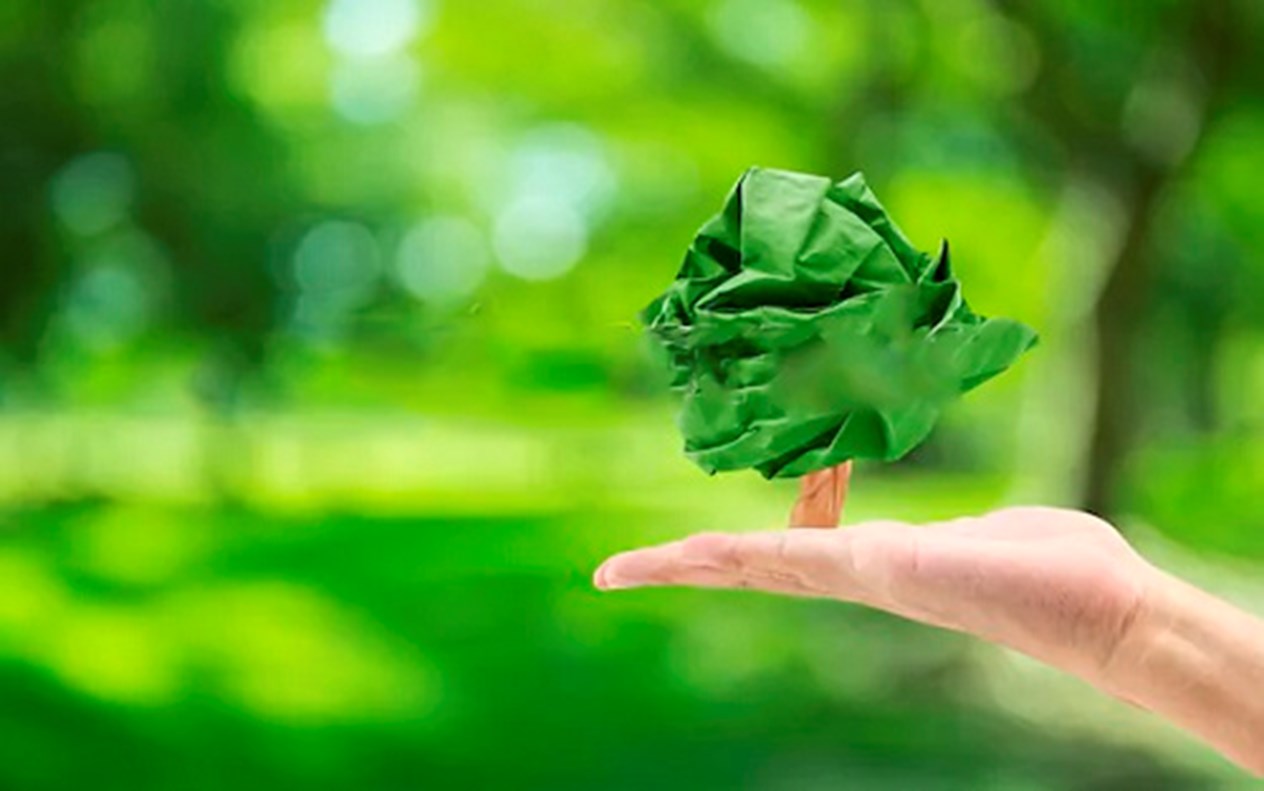 O papel é excelente solução para embalagens sustentáveis