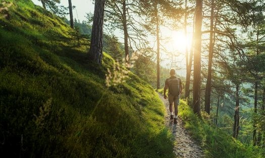 Sustainability journey